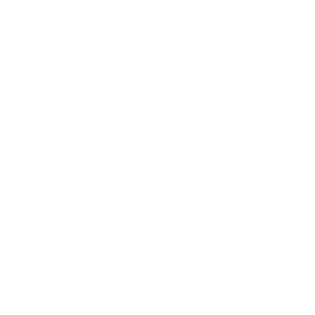 Noelle Rosenberg Photography